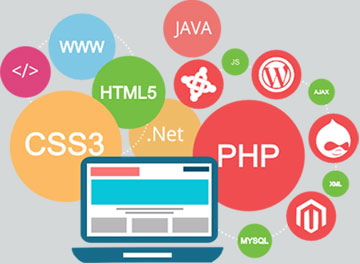 web Application